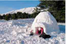 Igloo