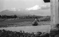 1977 - Zona Toscano